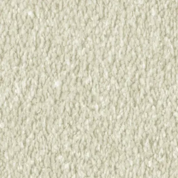 Vorwerk Alba 6C99 hellbeige – Draufsicht Velours Teppichboden 4 m breit